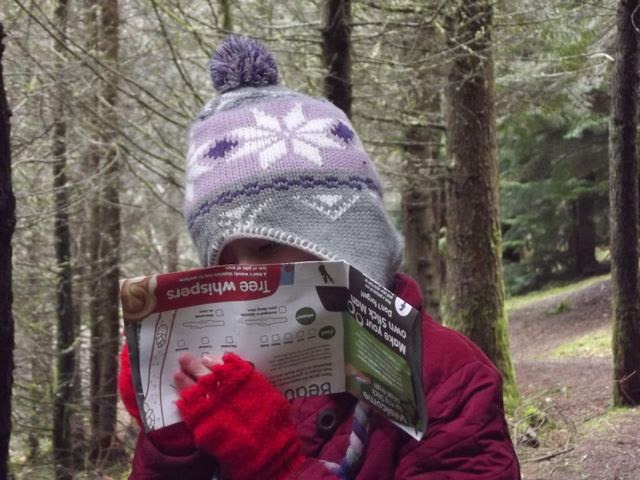 Stick Man trail Whinlatter tree whispering