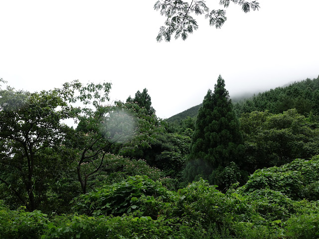 鳥取県道299号赤松淀江線　鳥取県西伯郡大山町赤松