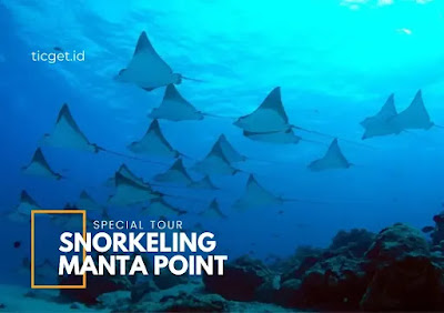 snorkeling-manta-point-nusa-penida-tour-and-ticket