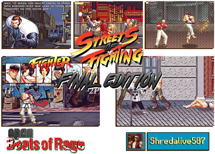Streets of Fighting final Edition Preview