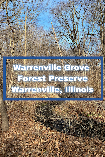 Enjoying a Rehabilitated Stretch of the West Branch DuPage River at Warrenville Grove Forest Preserve in Warrenville, Illinois