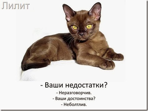 Вваши недостатки
