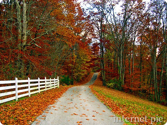 work.2012523.13.flat,550x550,075,f.country-road