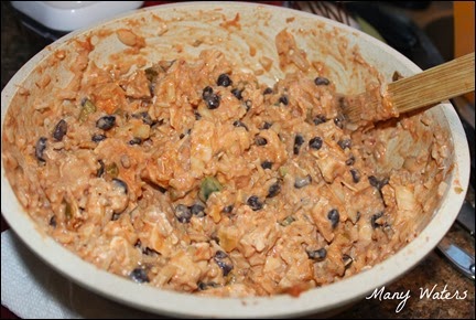 Many Waters Chicken Enchilada Filling