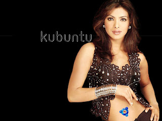 Cute actross Priyanka Chopra Hot desktop HD wallpapers 2012