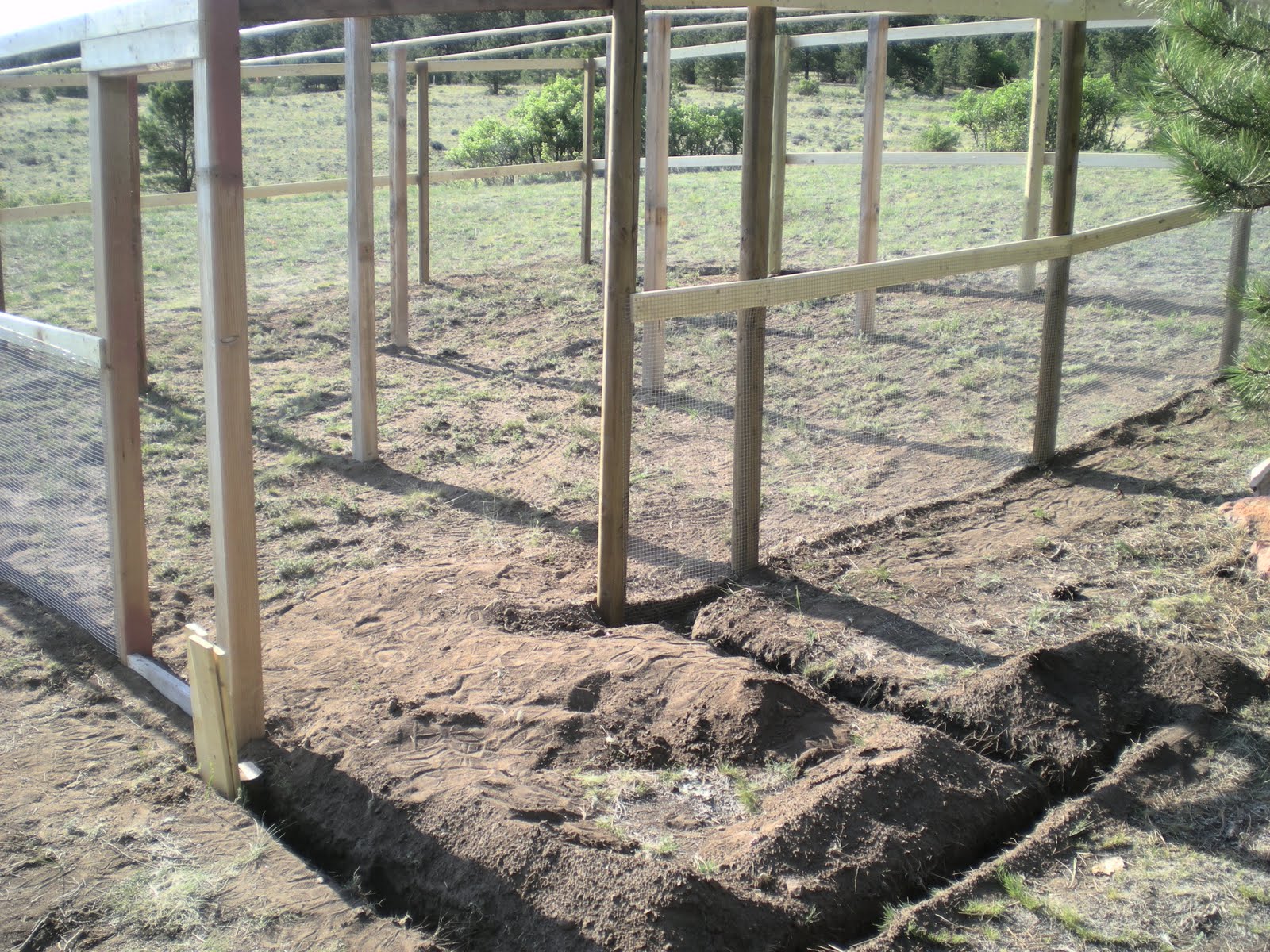 pictures of How To Build A Chicken Run