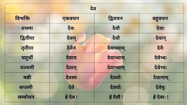 देव शब्द के रूप(Deva Shabda ke roop)/Deva Shabd Roop in Sanskrit