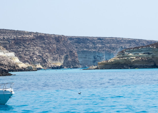 Lampedusa, Cala Tabaccara e Isola dei Conigli da Cala Pulcino ©Valeriaderiso