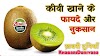 कीवी खाने के फायदे-नुकसान ? kiwi fruits benefits in hindi