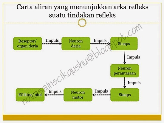 Nota Sains Tingkatan 4 Bab 2 | Nota Cikgu Shu