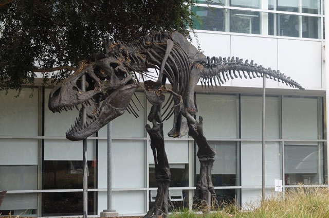 Fotofoto Kantor Pusat Google Mountain View California Amerika Serikat