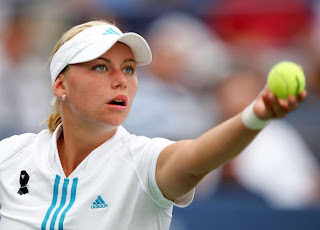 Vera Zvonareva Tennis Player