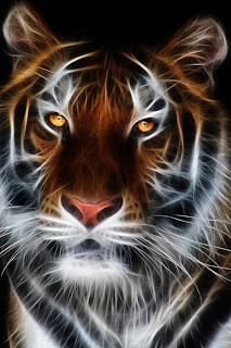 HD 3D Tiger Wallpapers for iPhone 4