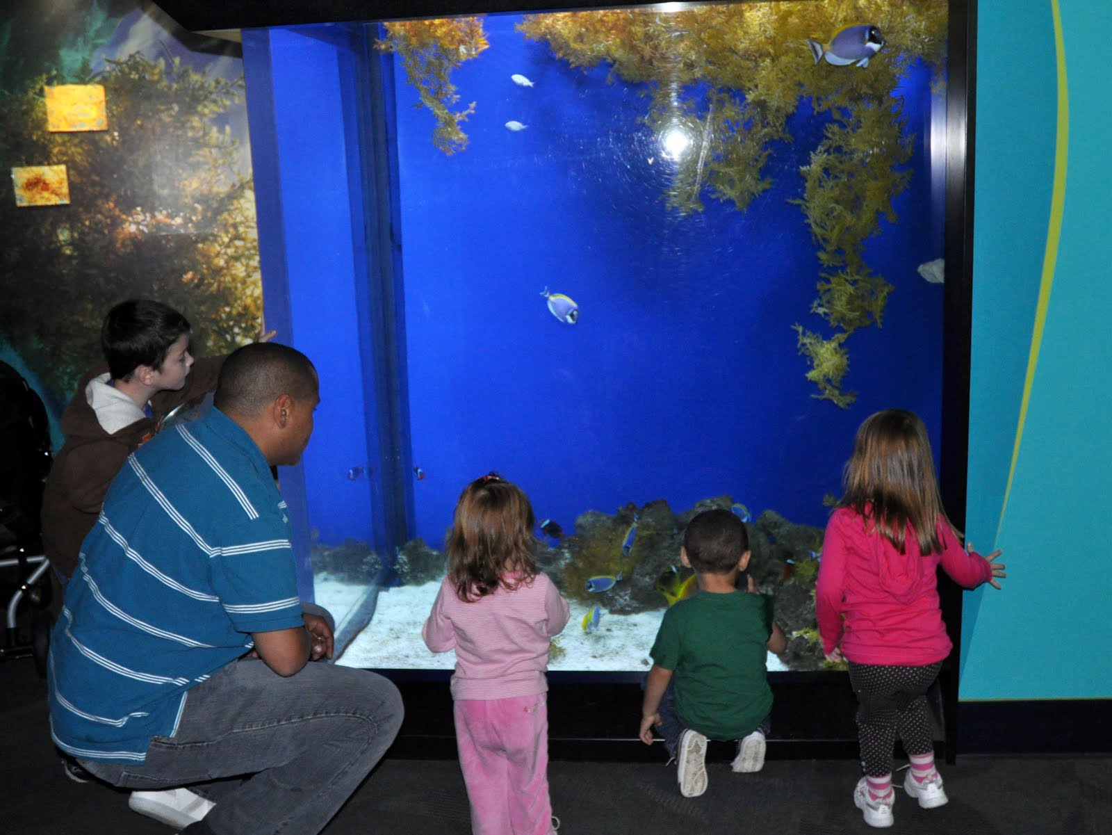 Taking on The World With Our Boy: Adventure Aquarium in Camden, New Jersey - ADventure%2BAquarium%2Bin%2BCamDen%2B052