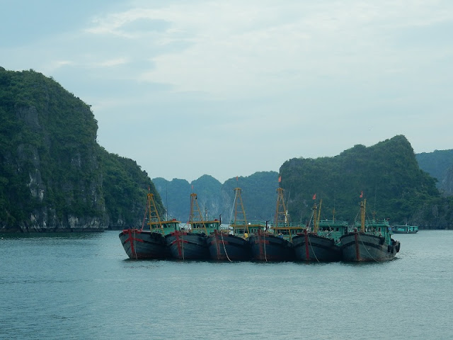 Halong Bay or Ninh Binh: Which one is better?