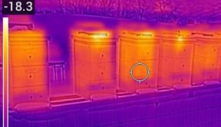 Unveiling the Truth Honeybee Insulation Reexamined