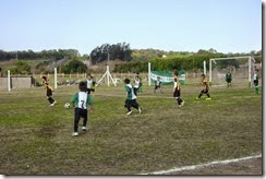 DSC04156