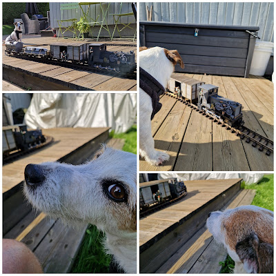 Jack Russel Terrier and model railroad