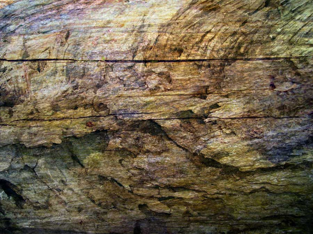 textura madera
