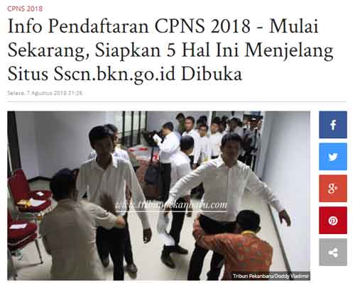 berita cpns dari pekanbaru tribunnews