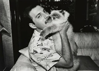 18 fotos de Freddie Mercury y sus gatos, a los que amaba y trataba como a sus propios hijos