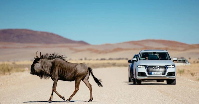 Audi Q7 2015