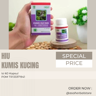 Herbal Kumis Kucing Mengatasi Rematik Gout Kencing Batu Asam Urat Kencing Manis