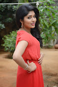 Samyuktha Hornad Glam pics-thumbnail-14