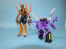 Blackarachnia (52)