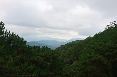 Tree Top Adventure Baguio Canopy Ride