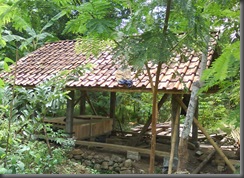 DSC01920