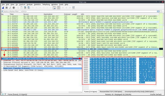 Wireshark Packet Dissection