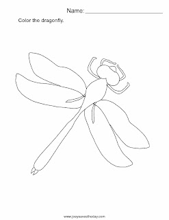 Dragonfly worksheet