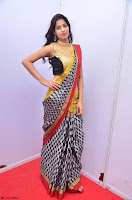 Naziya Khan Model in Saree At Kala Silk Handloom Expo Dec 2017~  Exclusive Galleries 005.jpg