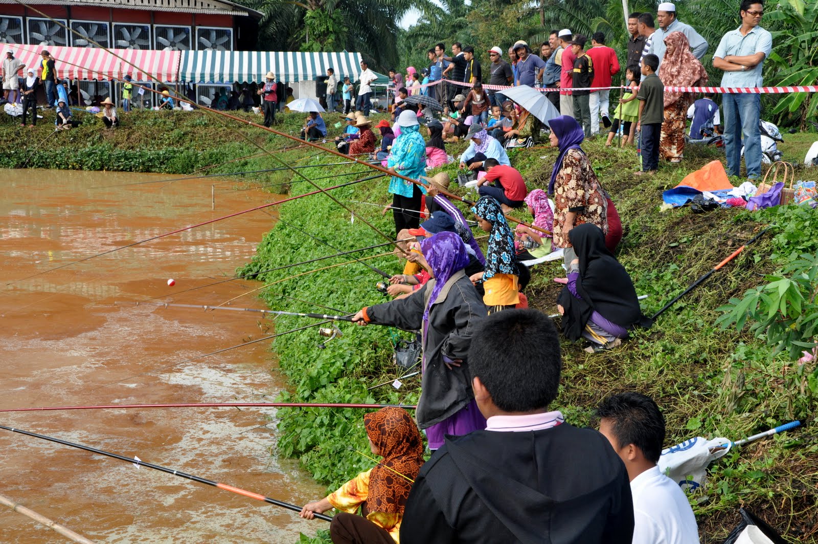 ADUN GUNUNG SEMANGGOL (N11): PERTANDINGAN MEMANCING IKAN KELI AFRIKA