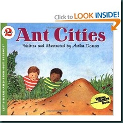 ant cities