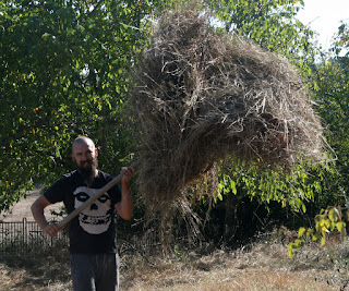 Shifting hay into storage