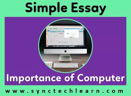 essay on importance of computer in english