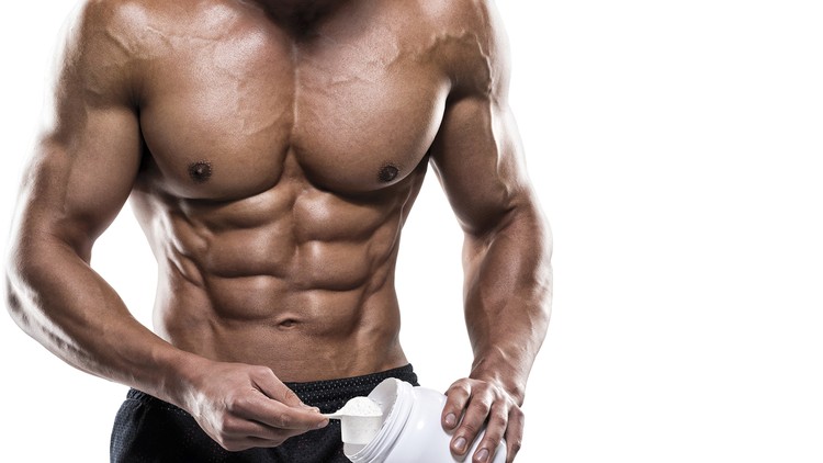 12 Week Muscle Building & Fat Loss Transformation Program Udemy Coupon
