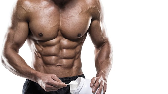 12 Week Muscle Building & Fat Loss Transformation Program [Free Course]
