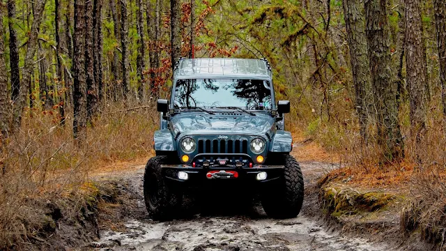 Papel de Parede Jeep na Floresta