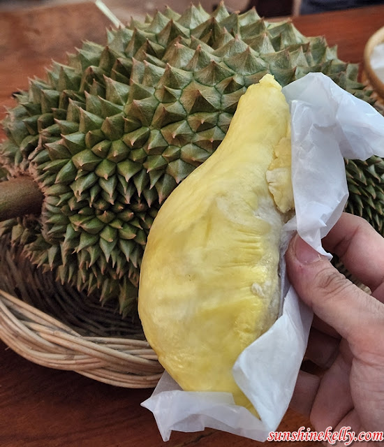 Lava Durian in Si Sa Ket, Thailand, Lava Durian, Si Sa Ket, Thailand, Tourism Authority of Thailand, Durian Lava Si Sa Ket, Durian Lava, Travel