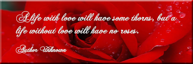 Happy Valentine's Day Love Quotes For Romantic Couple