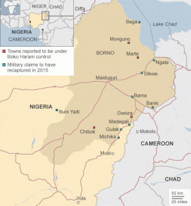 A suicide bomber killed 14 people in northeast Nigeria