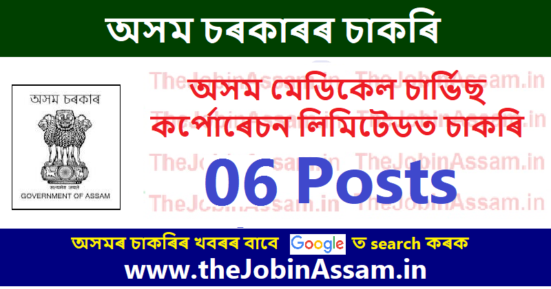AMSCL Recruitment 2022 - 06 Manager, Executive & Other Vacancy