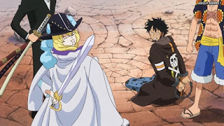 ワンピースアニメ ドレスローザ編 684話 キャベンディッシュ かわいい Cavendish CV.石田彰 | ONE PIECE Episode 684