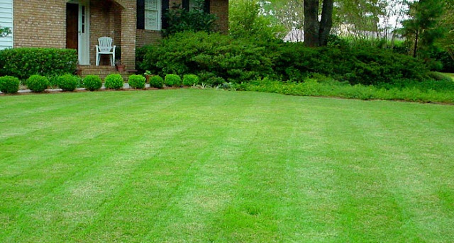 yard cleaning sydney