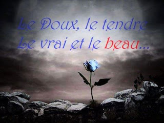 Fleurs bleue pour déclarer son amour