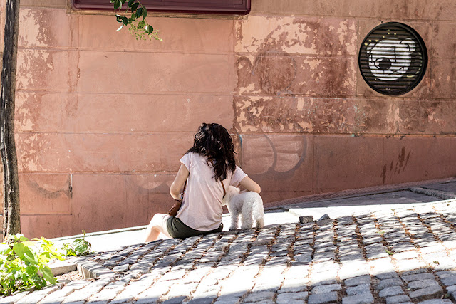 Streets of Madrid - Woman with dog