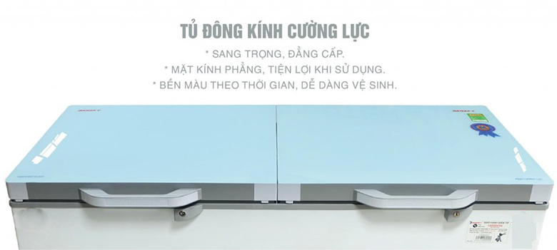 Tủ đông Sanaky 305 lít VH4099A2KD